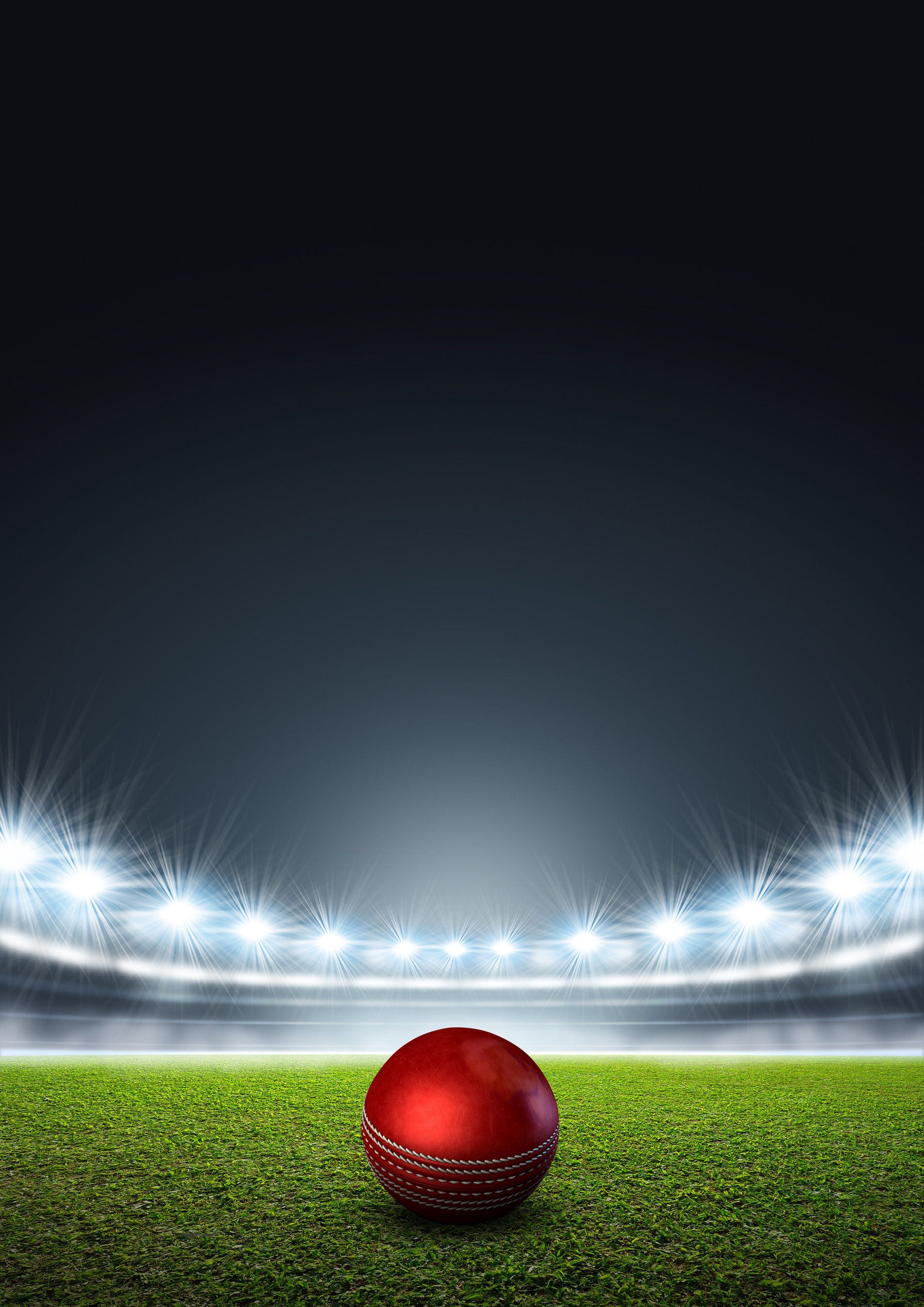 Generic Floodlit Stadium With Cricket Ball